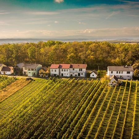 Ferienhaus Szapary II Eisenberg an der Pinka المظهر الخارجي الصورة
