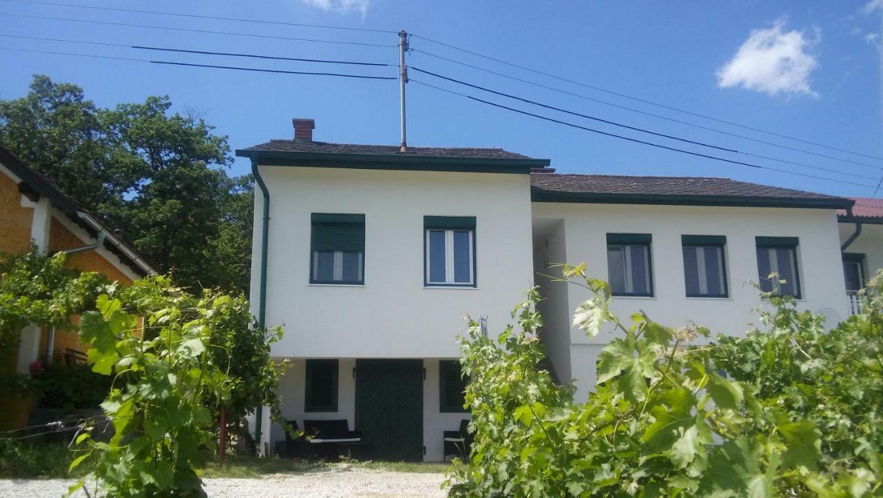 Ferienhaus Szapary II Eisenberg an der Pinka المظهر الخارجي الصورة