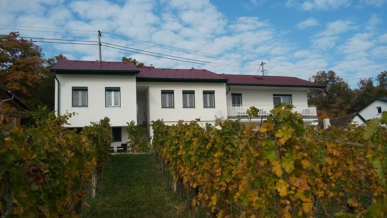 Ferienhaus Szapary II Eisenberg an der Pinka المظهر الخارجي الصورة